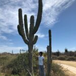 yf studio beyond the screen yuki cactus mexico